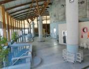 ピーアップシングウ