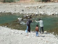 神之川キャンプマス釣り場