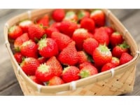 道の駅いちご農園