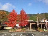 道の駅 土佐さめうら
