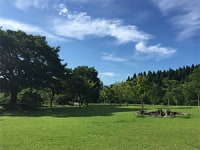 歌瀬キャンプ場・興梠ブルーベリー園