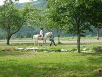 わくわくファーム前森高原