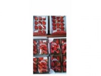 りっちゃん農園