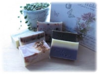 *しふぉん・なちゅ*