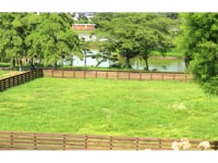 わんダフルネイチャーヴィレッジ