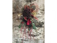 Flower　わたぼうし