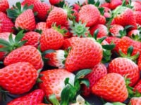 いちご園みない