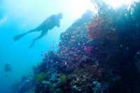セブンシーズ(世田谷本店)