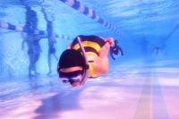 ぽんたドルフィンスイムクラブ