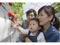 いちご農園SHIMONTA&amp;ジェラート工房