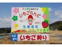 いちごらんど