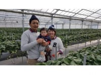 がっこうのイチゴ園