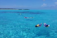 タンディーマリン