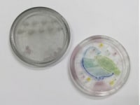 硝子企画舎　キルンワークグラススタジオ