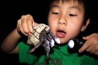 石垣島エコツアーショップ オーパ