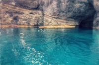 小樽観光フェニックス