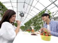 Eitoku Farm いちご園