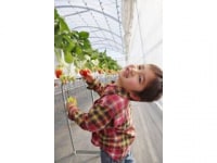 新さんだ農園いな岡