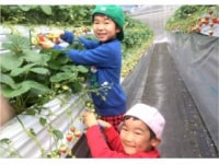 笹木野いちご園