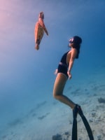 SUN SEA 合同会社