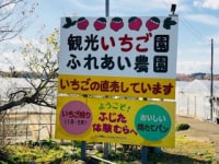 南那須観光いちご園