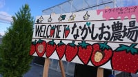 ながしお農場