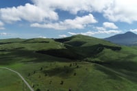 スカイシープロジェクト