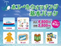 ビーチパラダイス