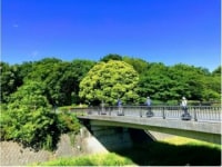 セグウェイガイドツアー国営昭和記念公園
