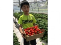 いわびつファーム