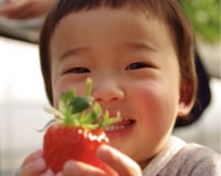 TomiBerryいちご農園