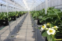 さんいんファーム