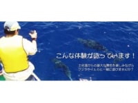 宇佐ホエールウォッチング