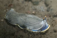 マリンサービス山形