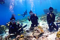 千葉のダイビングスクール  キアオラ