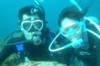 伊豆大島ダイビングセンター