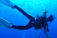 アイリーダイビング