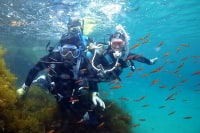 S・WORLD DIVING SCHOOL