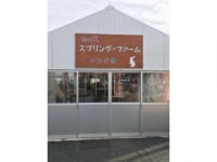 リトルK スプリングファーム いちご園