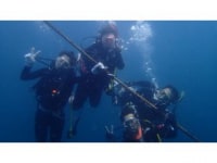 アクア　ウェーブ　ダイビングスクール