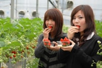 山梨FUJIフルーツパーク