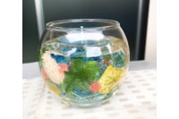 Lei(bloom 静岡店)