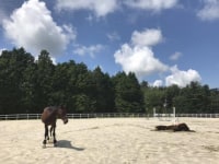 乗馬クラブ エクイヴィラ