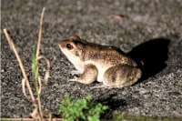 奄美ナイトガイドサービス