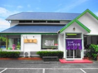 西伊豆・土肥・陶芸体験 さいずの窯