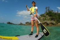 ネイチャーサービスマハエ