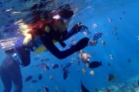 沖縄ダイビングサービスLagoon