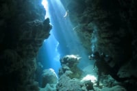 ダイビングサービス ラフーバ