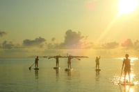 西表島ウォーターマン