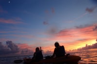 ネイチャーガイド あおしょうびん